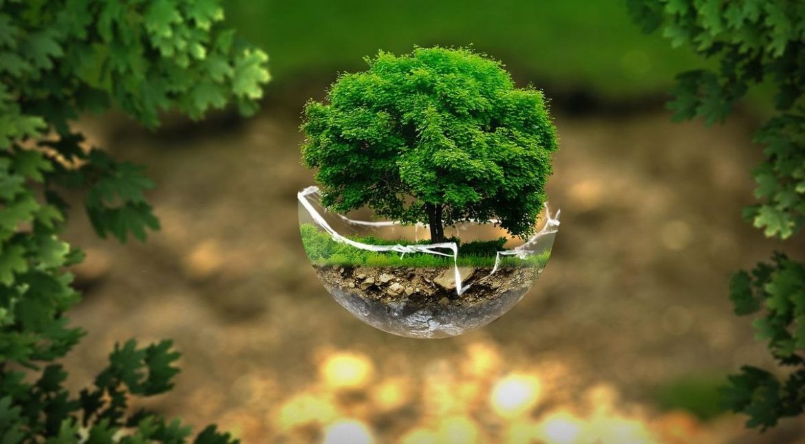 ISO 14001 Environmental Management